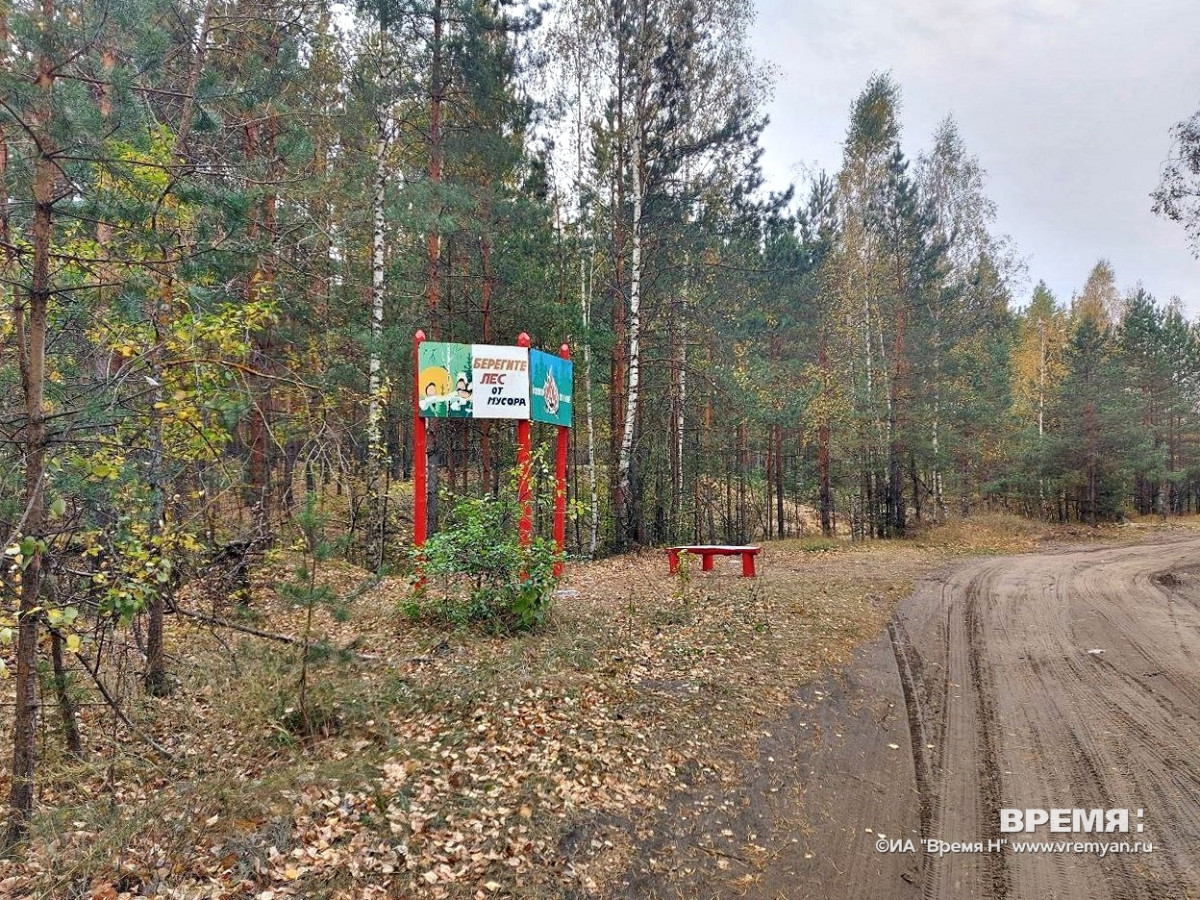 Нижегородцам напоминают о пожароопасности лесов и торфяников
