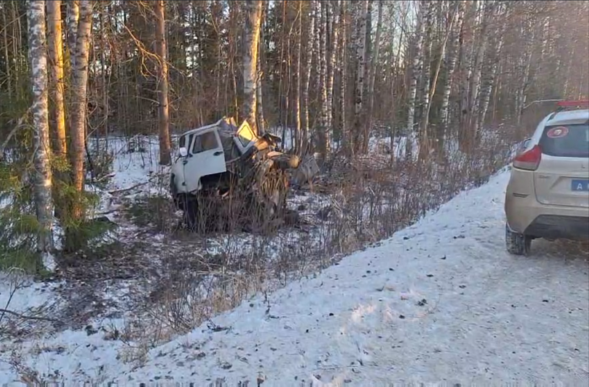 В Нижегородской области автомобиль съехал в кювет и перевернулся