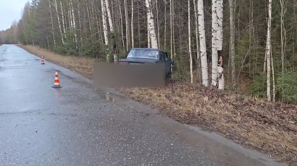 Водитель погиб при наезде на дерево в кювете в Ветлужском округе