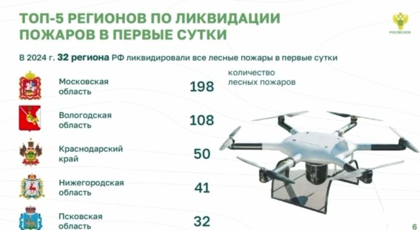 Нижегородская область оказалась среди лидеров по ликвидации лесных пожаров