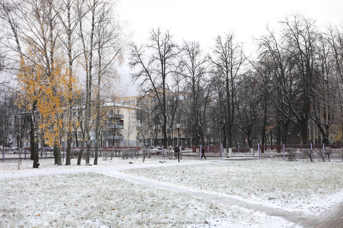 Дождь со снегом ожидается в Нижнем Новгороде днем 20 ноября