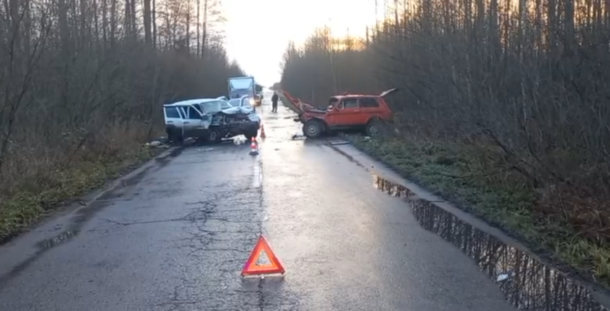 Два человека погибли в ДТП в Выксунском округе 20 ноября