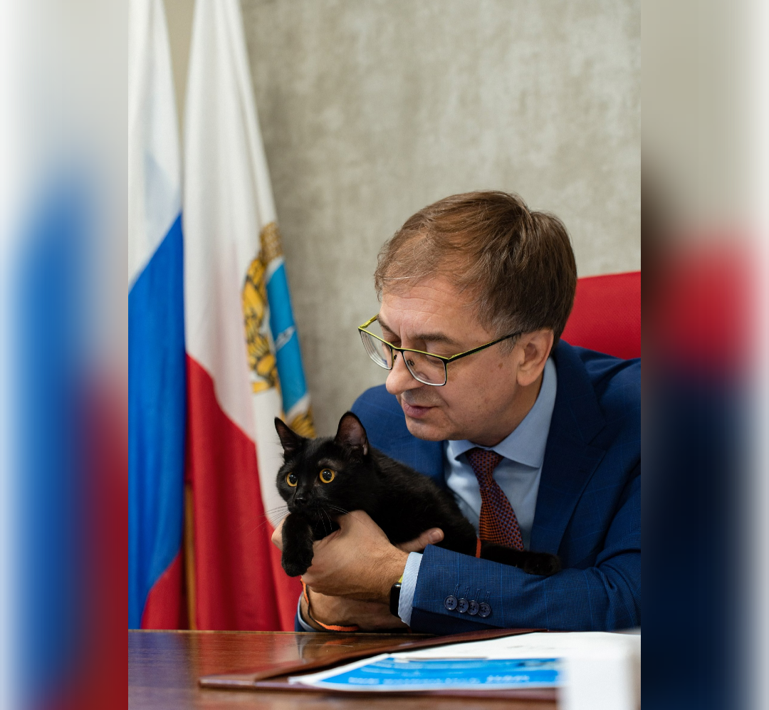 Министр цифрового развития одного из регионов ПФО привел кота на новое рабочее место