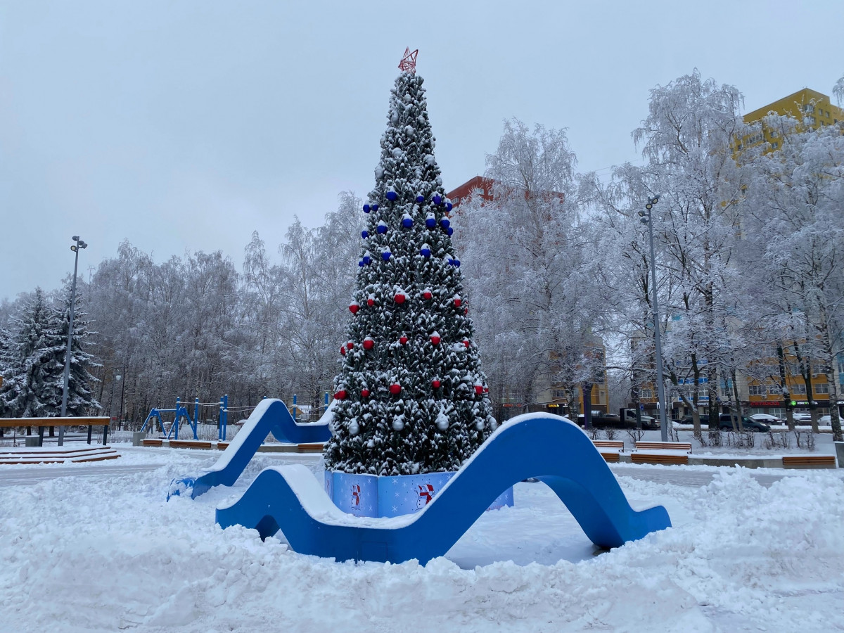 Новогоднюю елку в цветах триколора установили на Аллее любви в Приокском районе