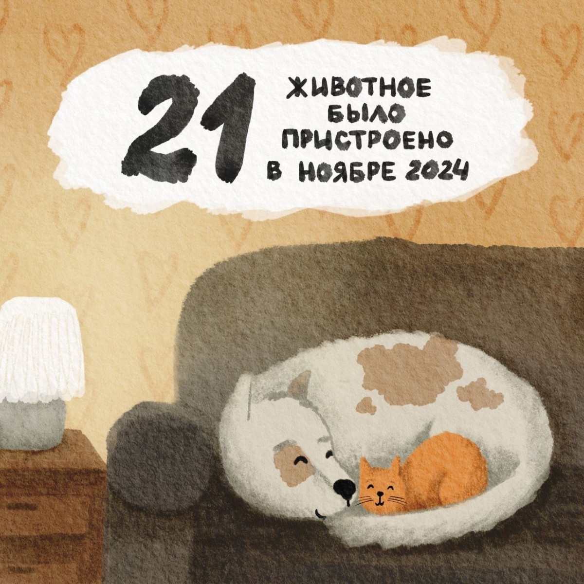 Новый дом для 21 животного нашел приют «Сострадание-НН» в ноябре
