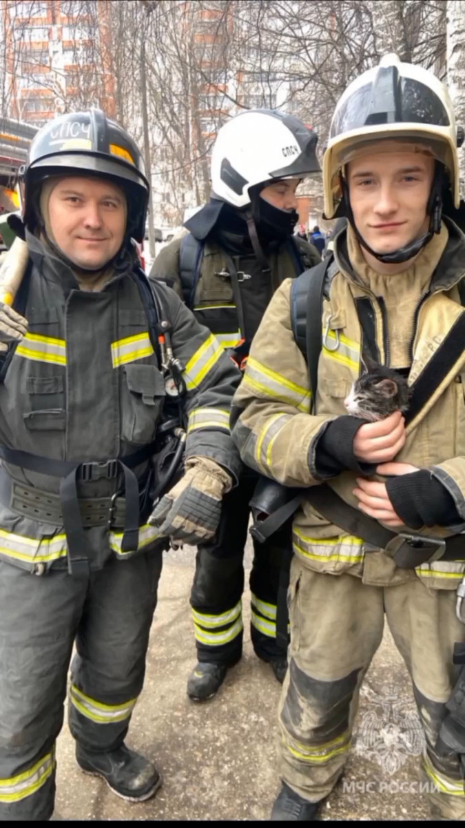 Пожарные спасли кота из горящей квартиры в Нижнем Новгороде