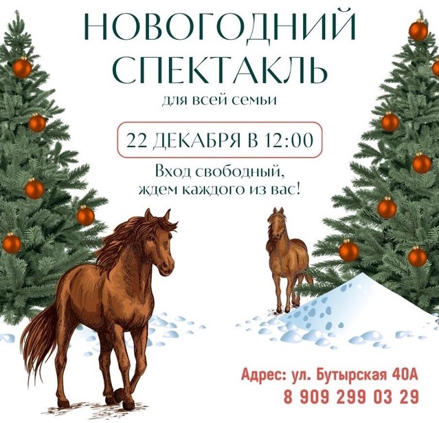 Нижегородцев приглашают на новогодний спектакль для всей семьи на конном манеже