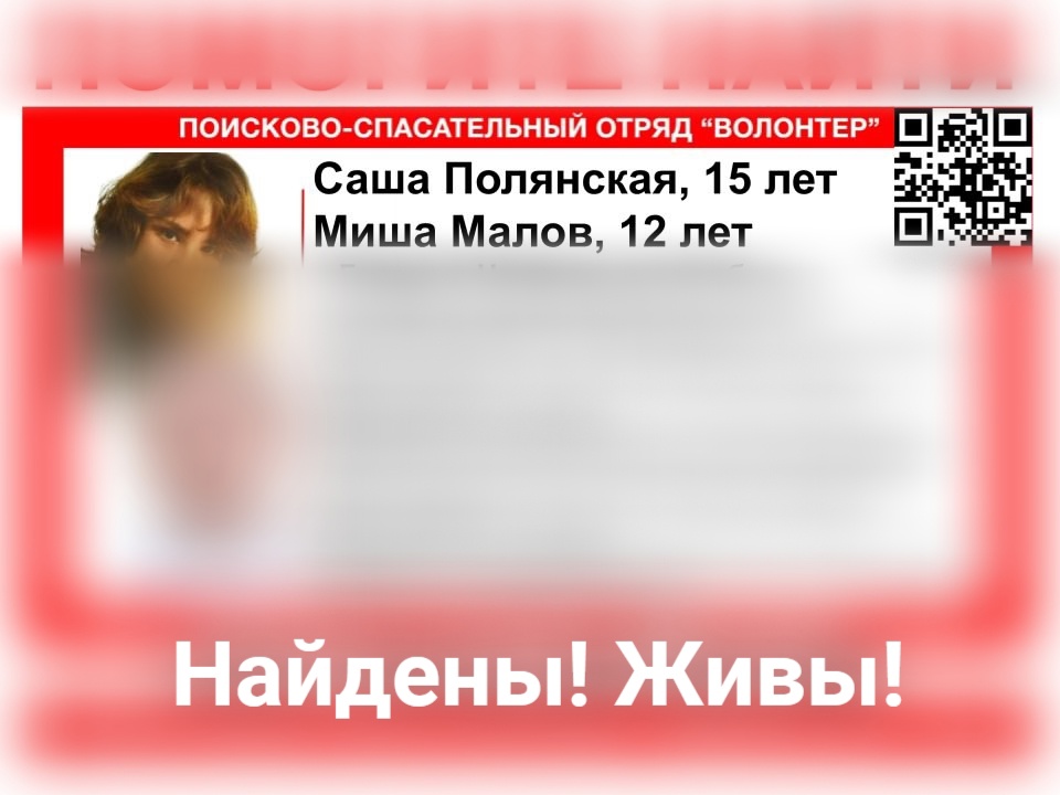 Пропавшие в Городце дети найдены живыми