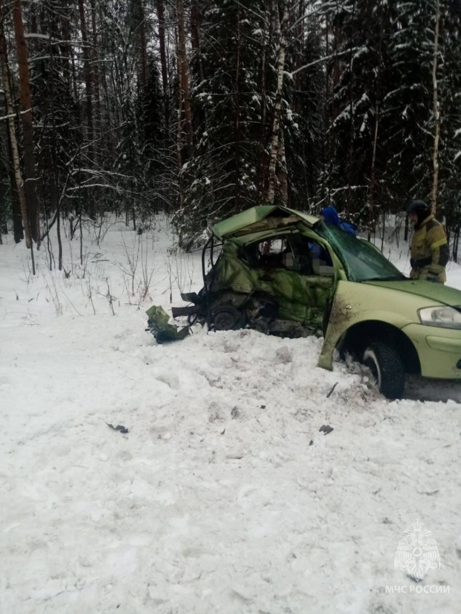 Два человека погибли в аварии в Семеновском районе Нижегородской области