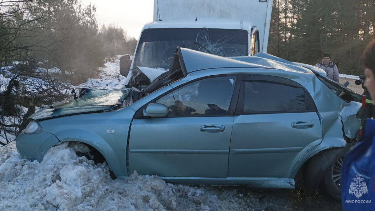 Тела погибших извлекли из автомобиля пострадавшего в ДТП в Городецком округе