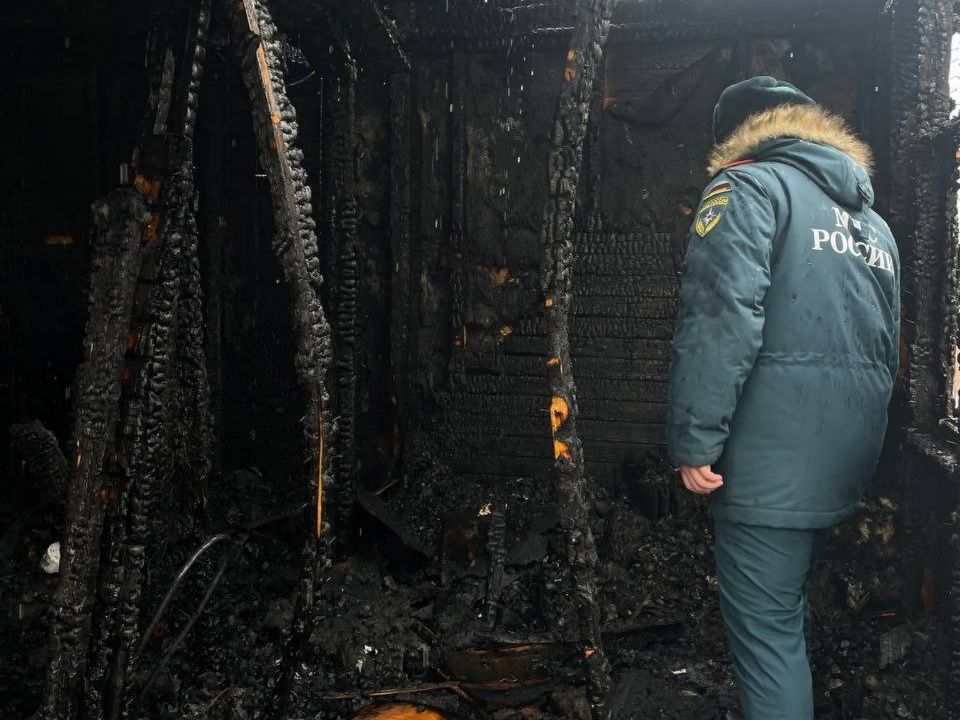 Названа предварительная причина пожара в нижегородском СНТ «Победа»