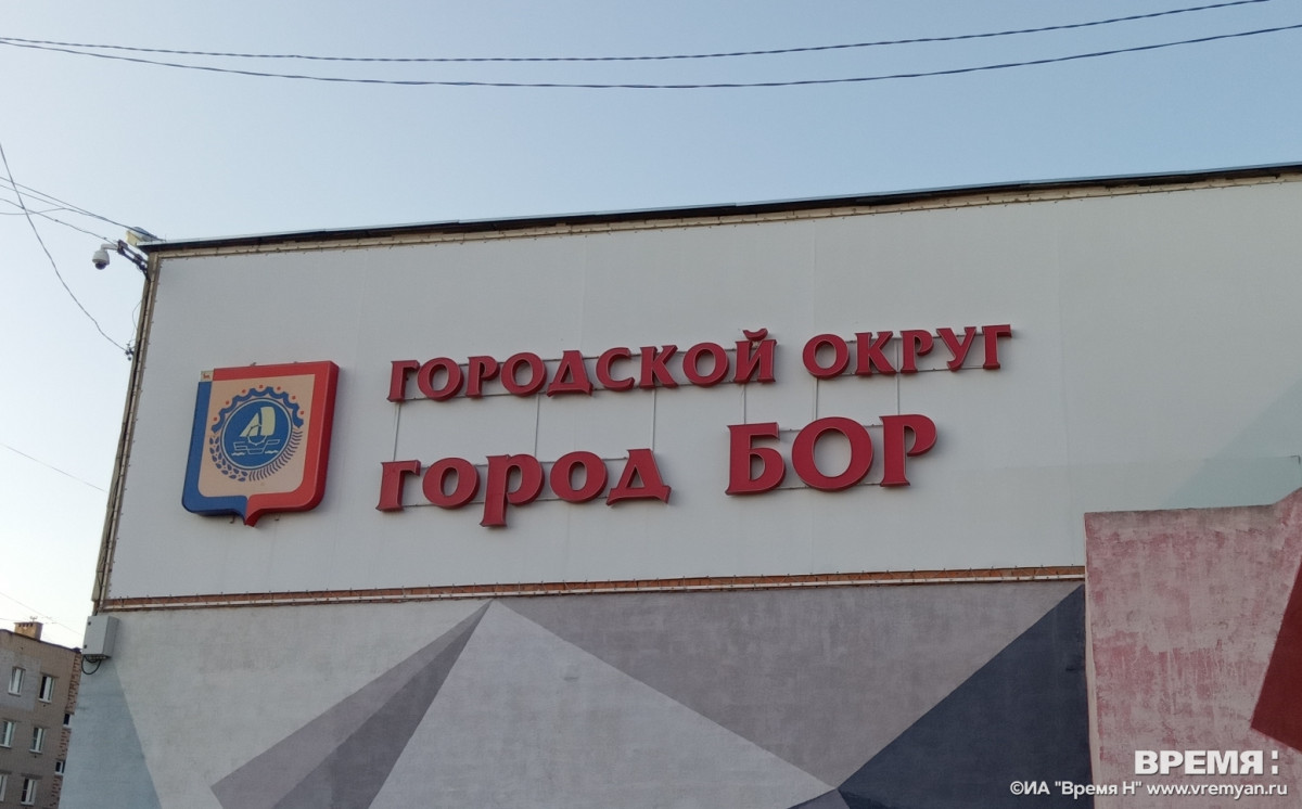 Бастрыкин затребовал доклад по ситуации с агрессивными бездомными собаками на Бору