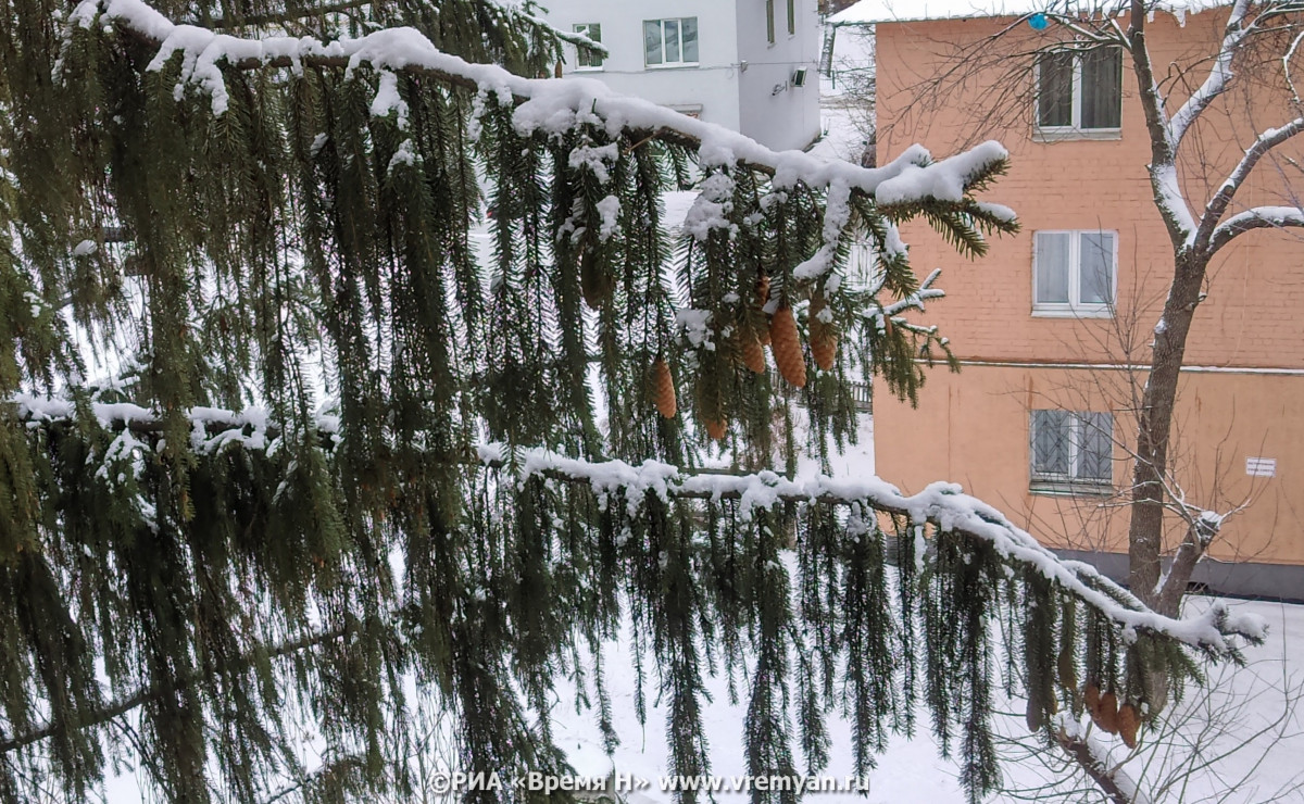 Снежные и морозные выходные ждут нижегородцев