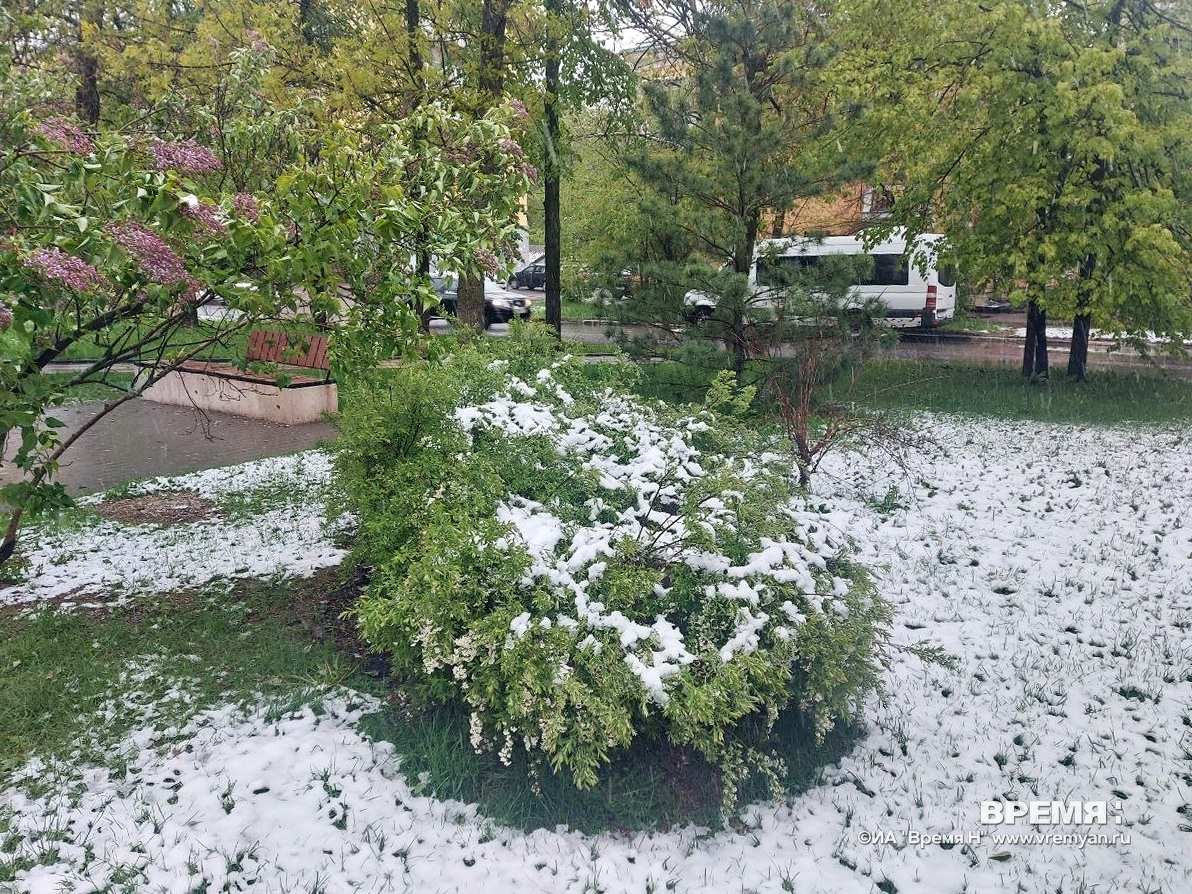 Заморозки со снегом ожидаются в Нижнем Новгороде с воскресенья