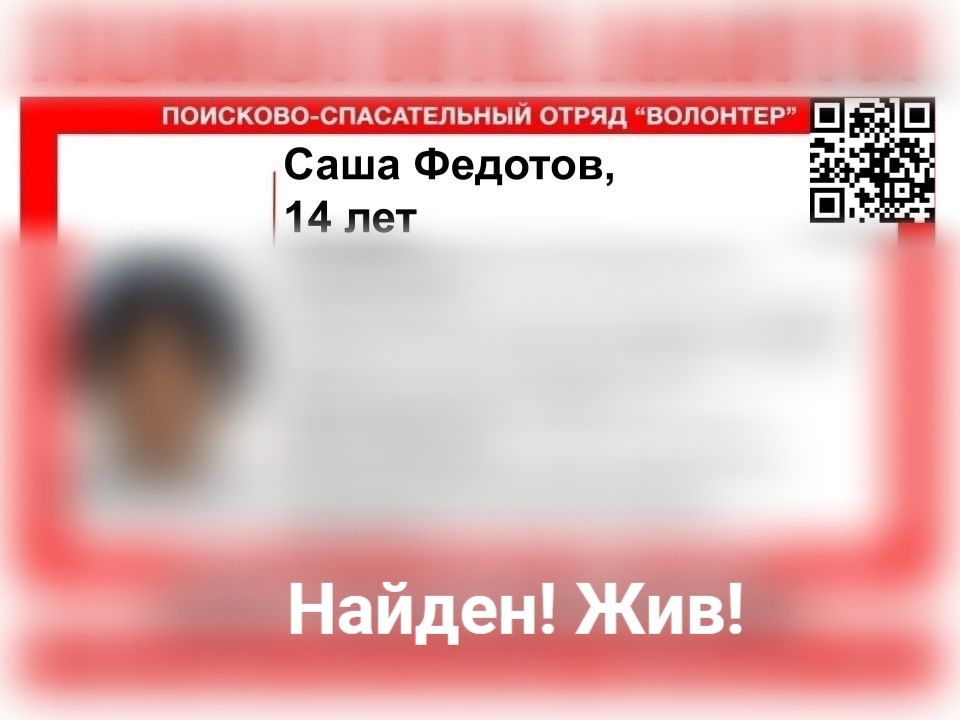 Пропавший в Нижнем Новгороде Саша Федотов найден живым