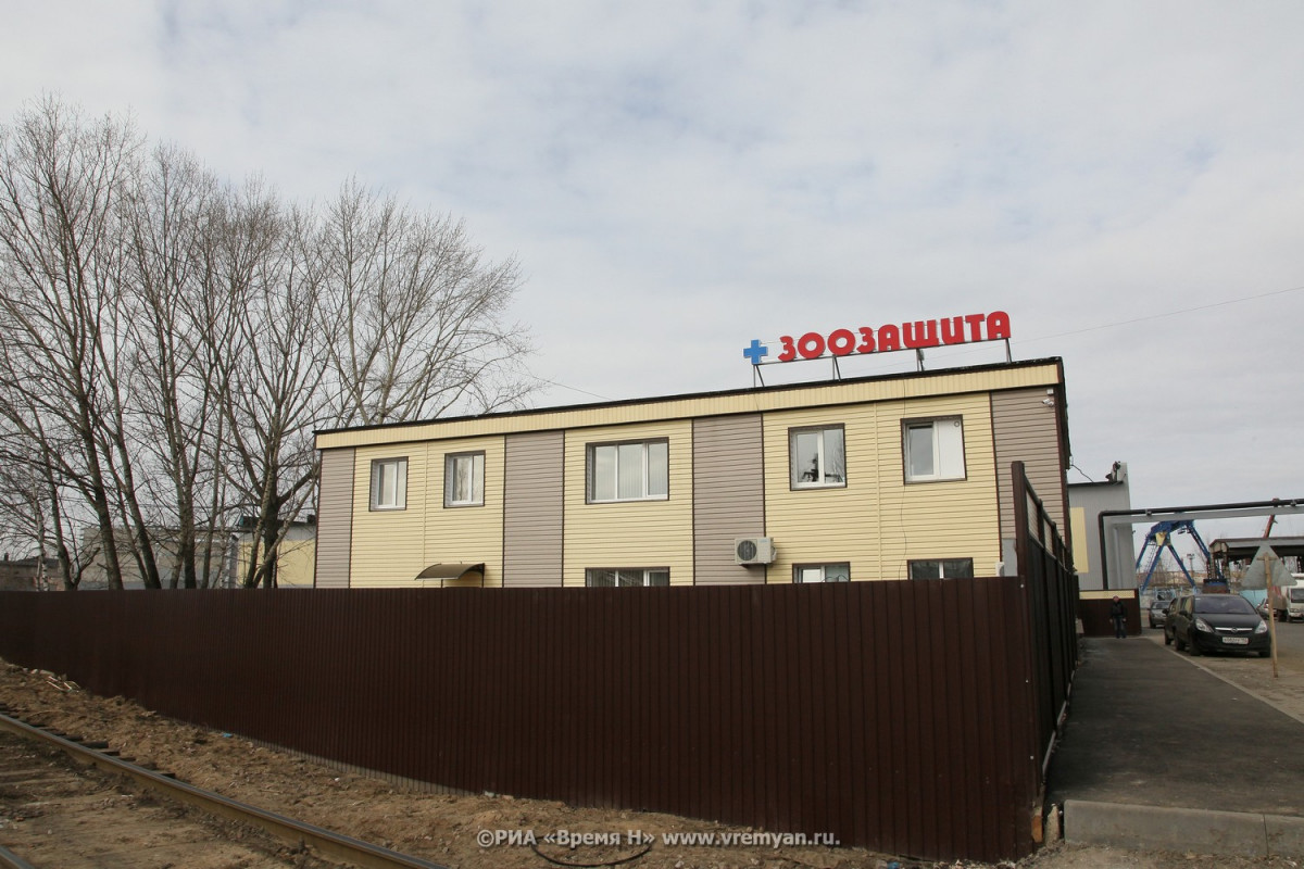 Сильный ветер ожидается в Нижнем Новгороде 15−16 апреля