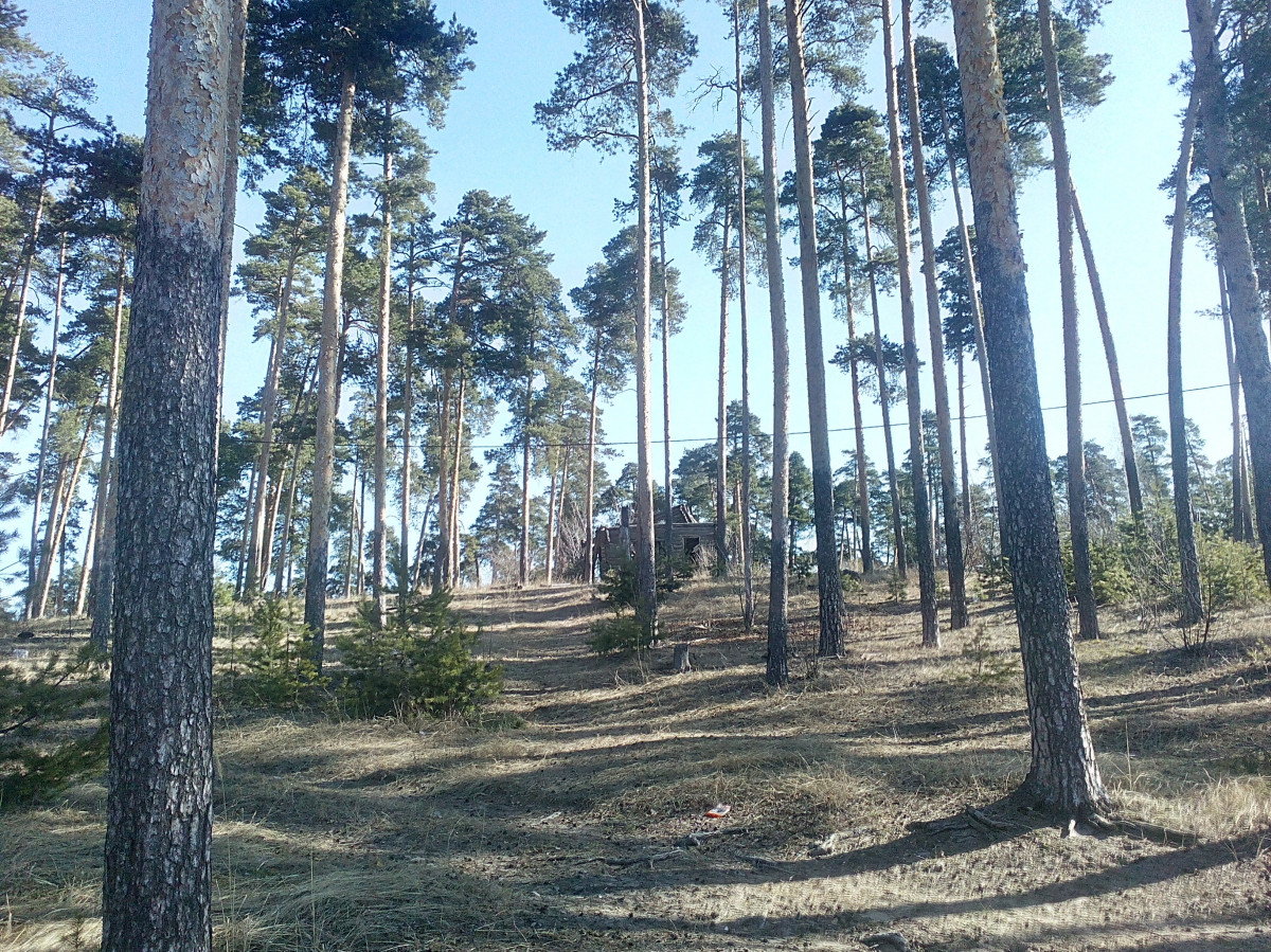 Нижегородские власти планируют восстановить дачу архитектора Павла Малиновского на Бору