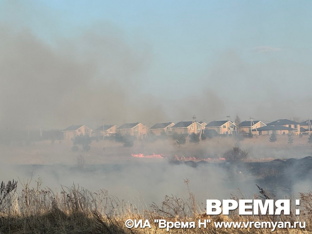Крупный природный пожар снова тушат в Новинках