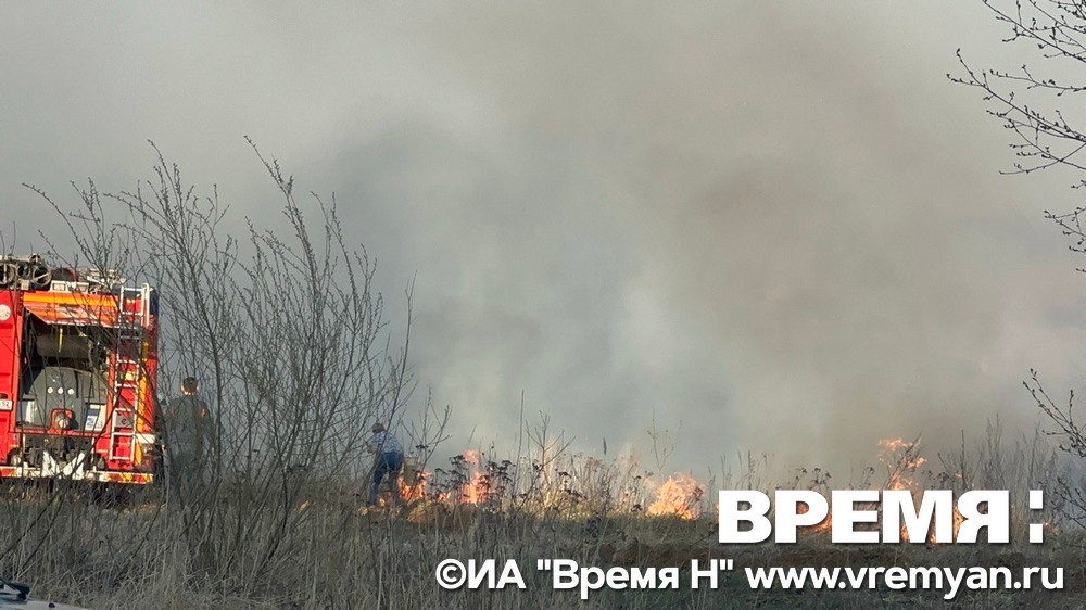 Очевидцы пожара в Новинках: трава могла загореться из-за детской шалости