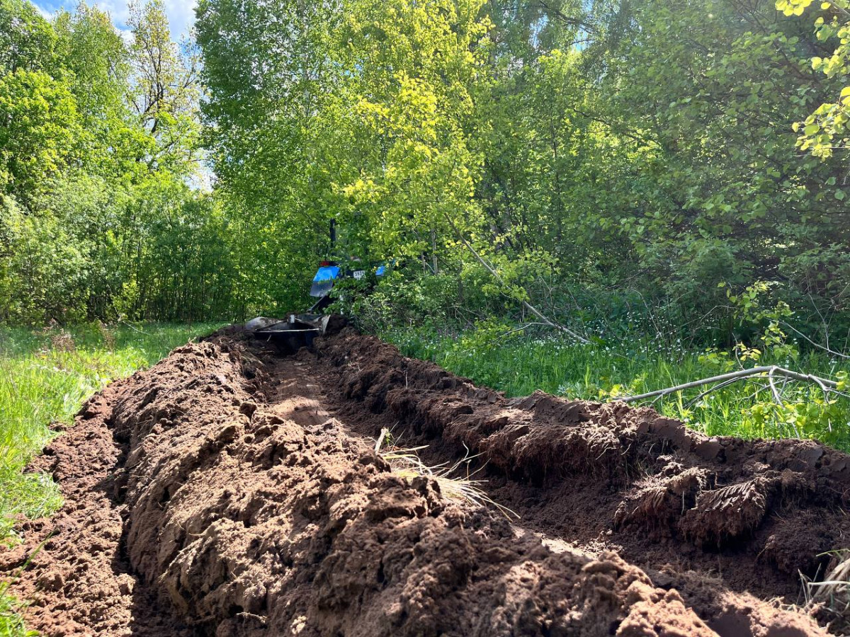 В Нижегородской области очистят более 3800 га от сухостоя и создадут защитные полосы на землях, примыкающих к лесам