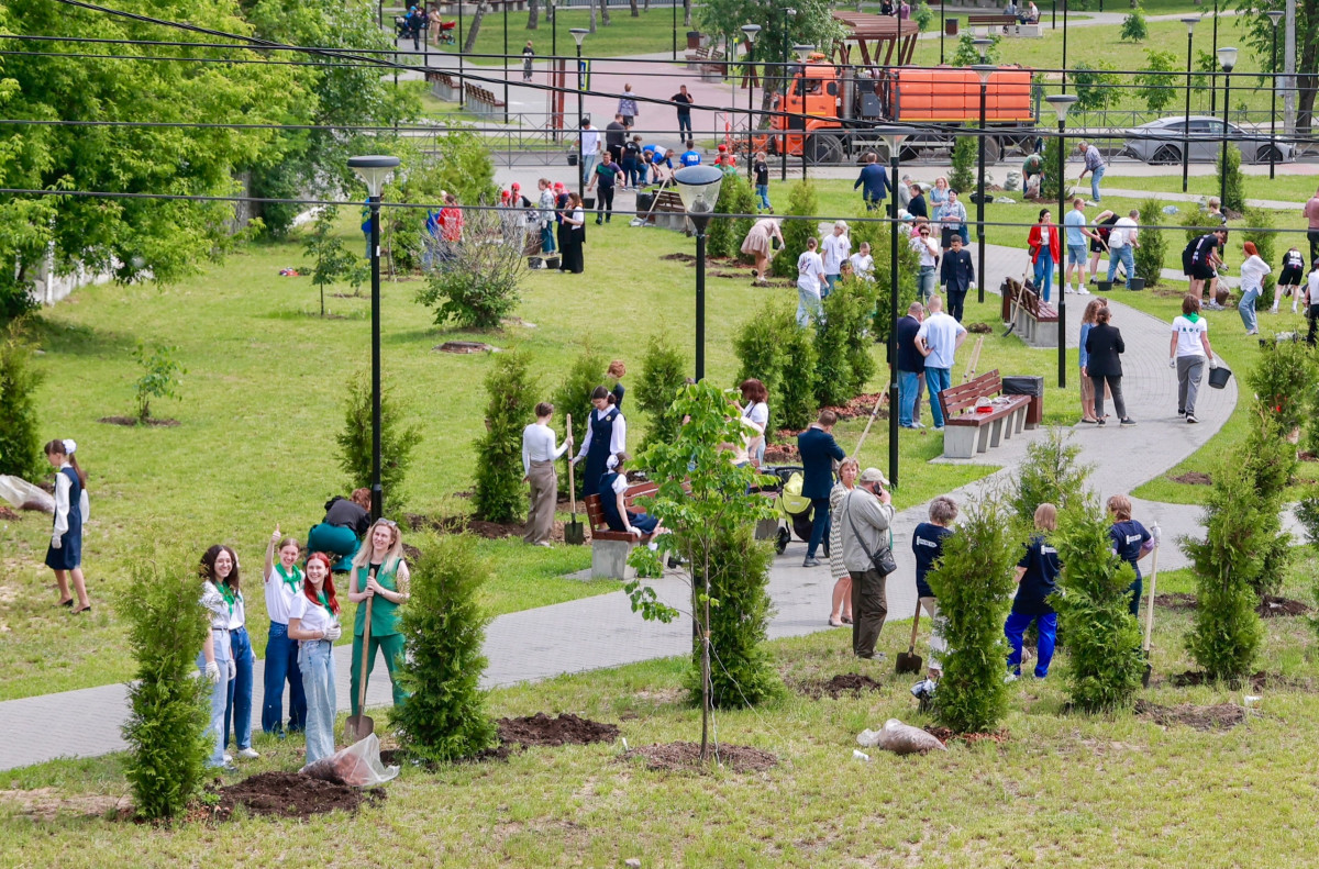90 туй высадили в сквере имени Луначарского в Ленинском районе