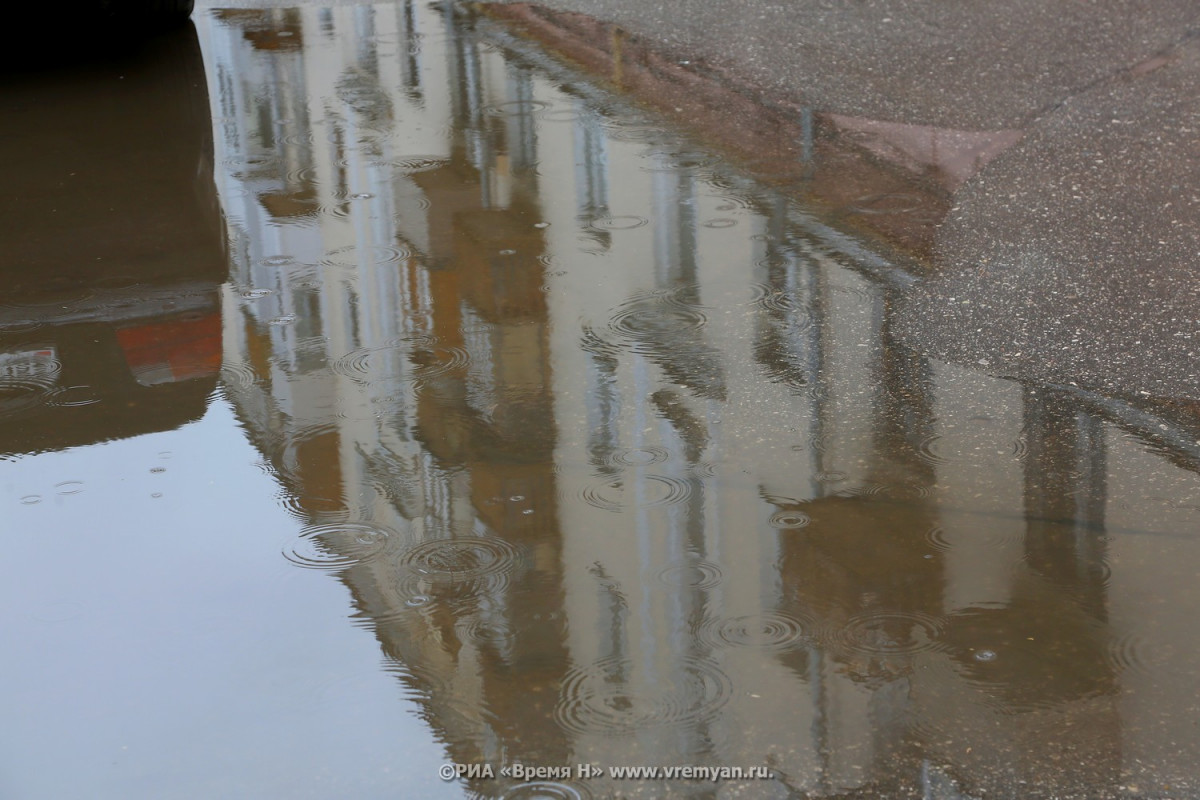Почти две месячные нормы осадков выпало в Арзамасе за сутки 2 августа