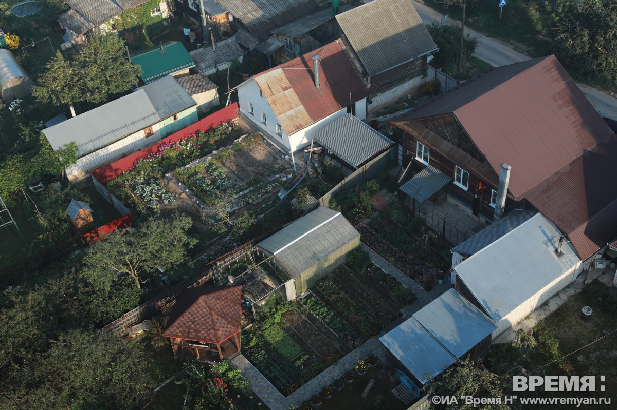 Нижегородцам рассказали, как не потерять урожай картошки