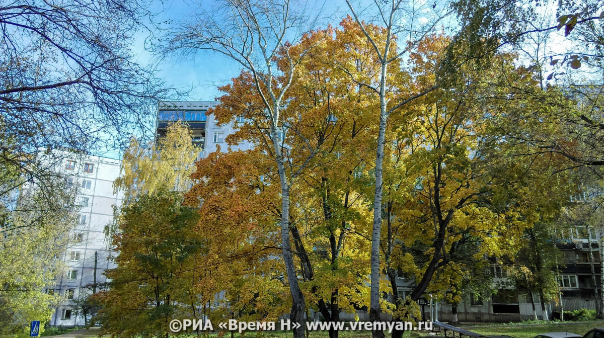 Бабье лето придет в Нижегородскую область в конце сентября