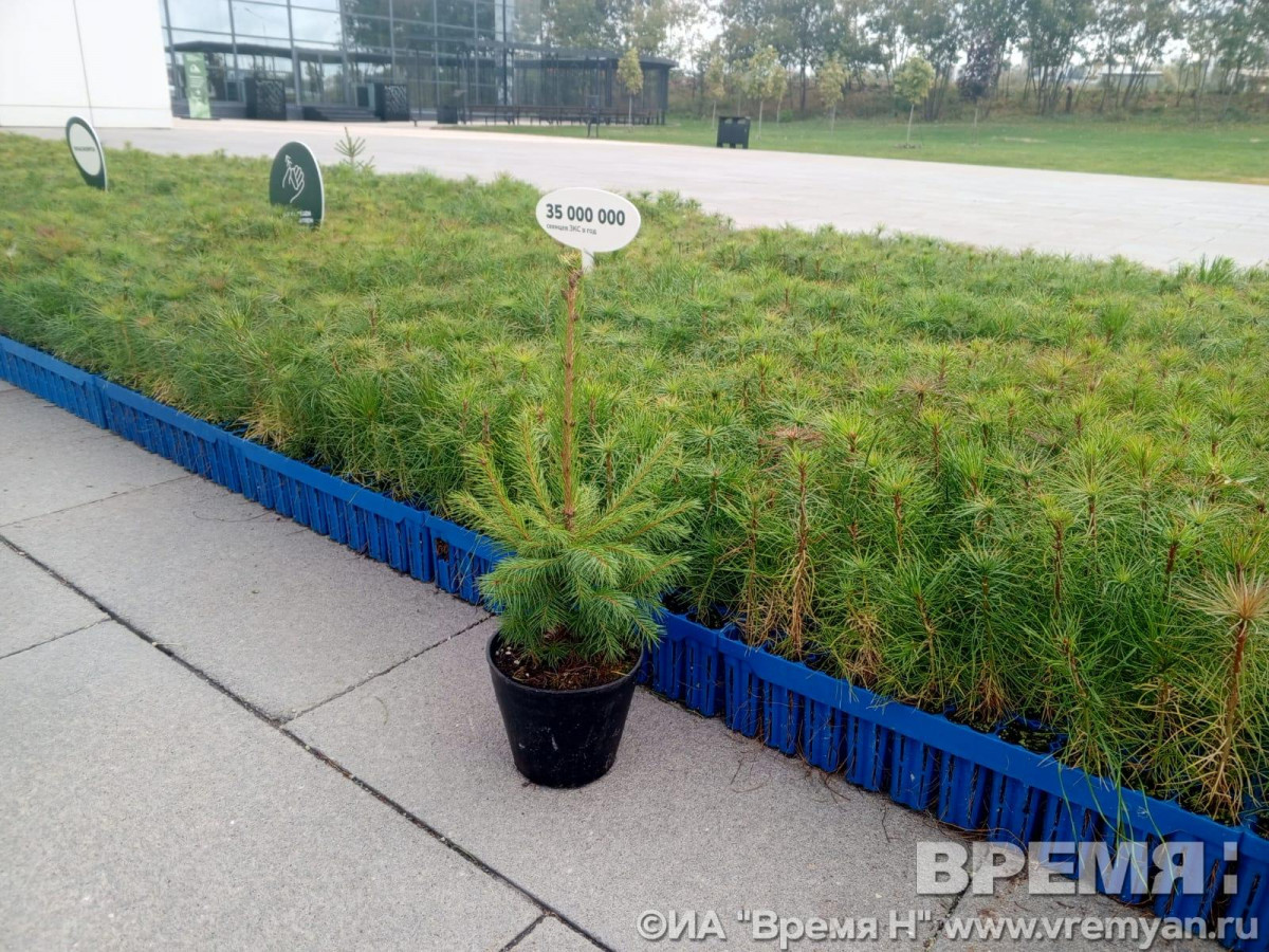 79a305ec-56bb-4aaa-999c-7a27a4a3cea9