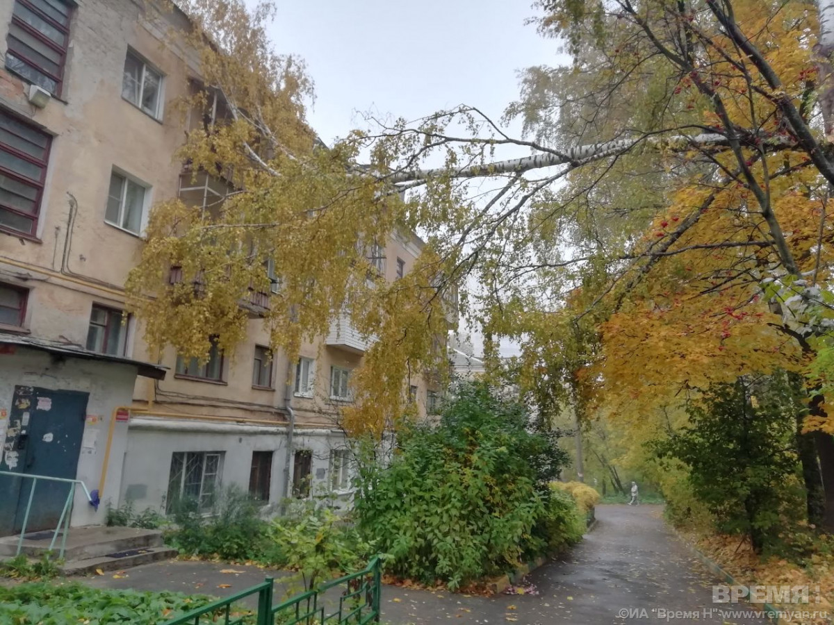 Дерево упало на дом на улице Бекетова