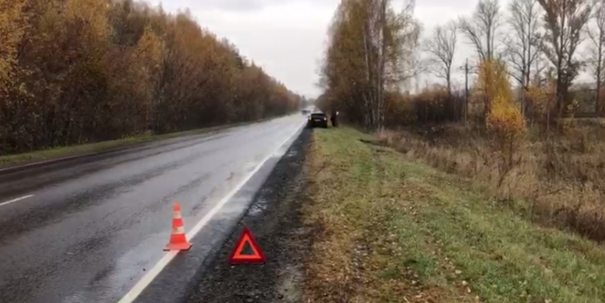 Двое детей пострадали в ДТП на трассе в Нижегородской области