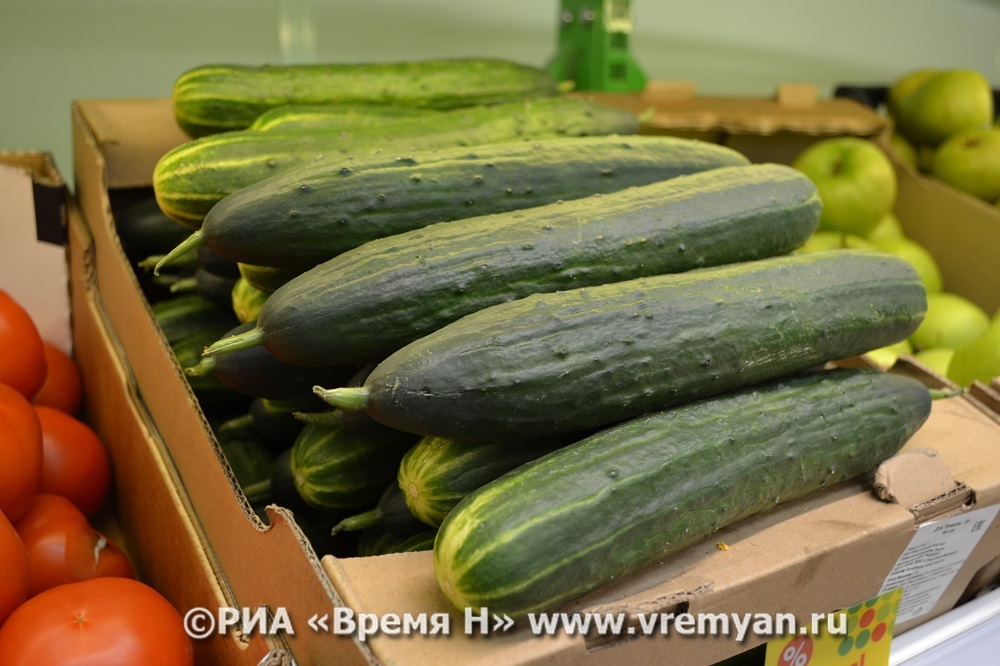 Более 147 тонн нижегородских огурцов отправляют в Польшу