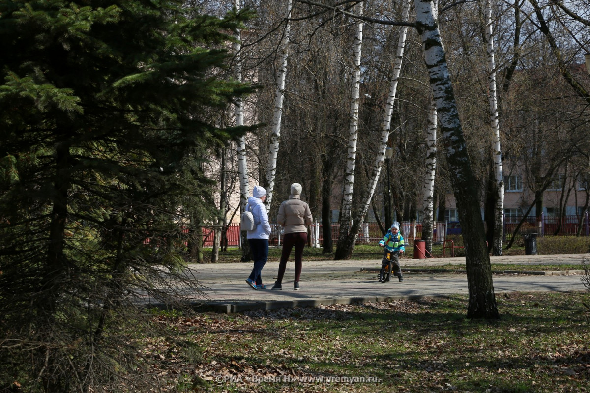 Родительское онлайн-собрание пройдет в Нижегородской области 23 октября