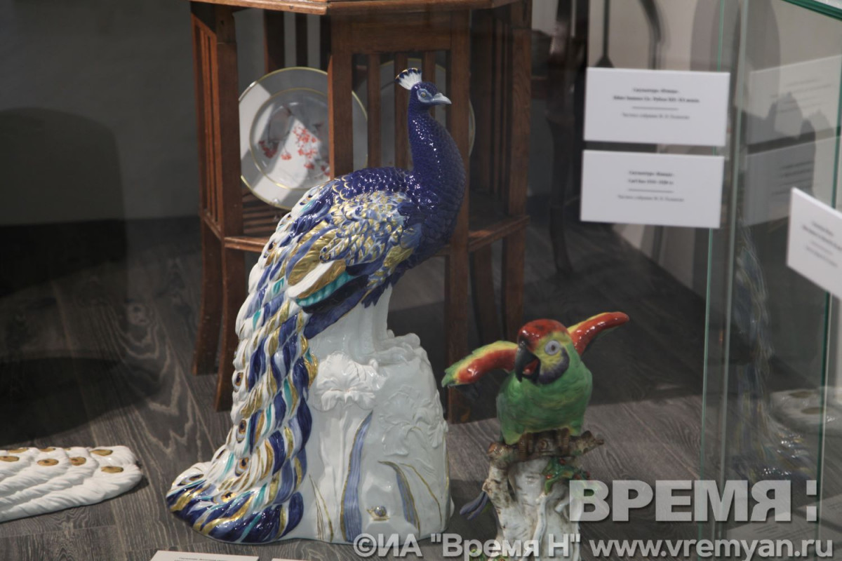 Нижегородцы побывали в «Нескучном саду райских фарфоровых птиц»