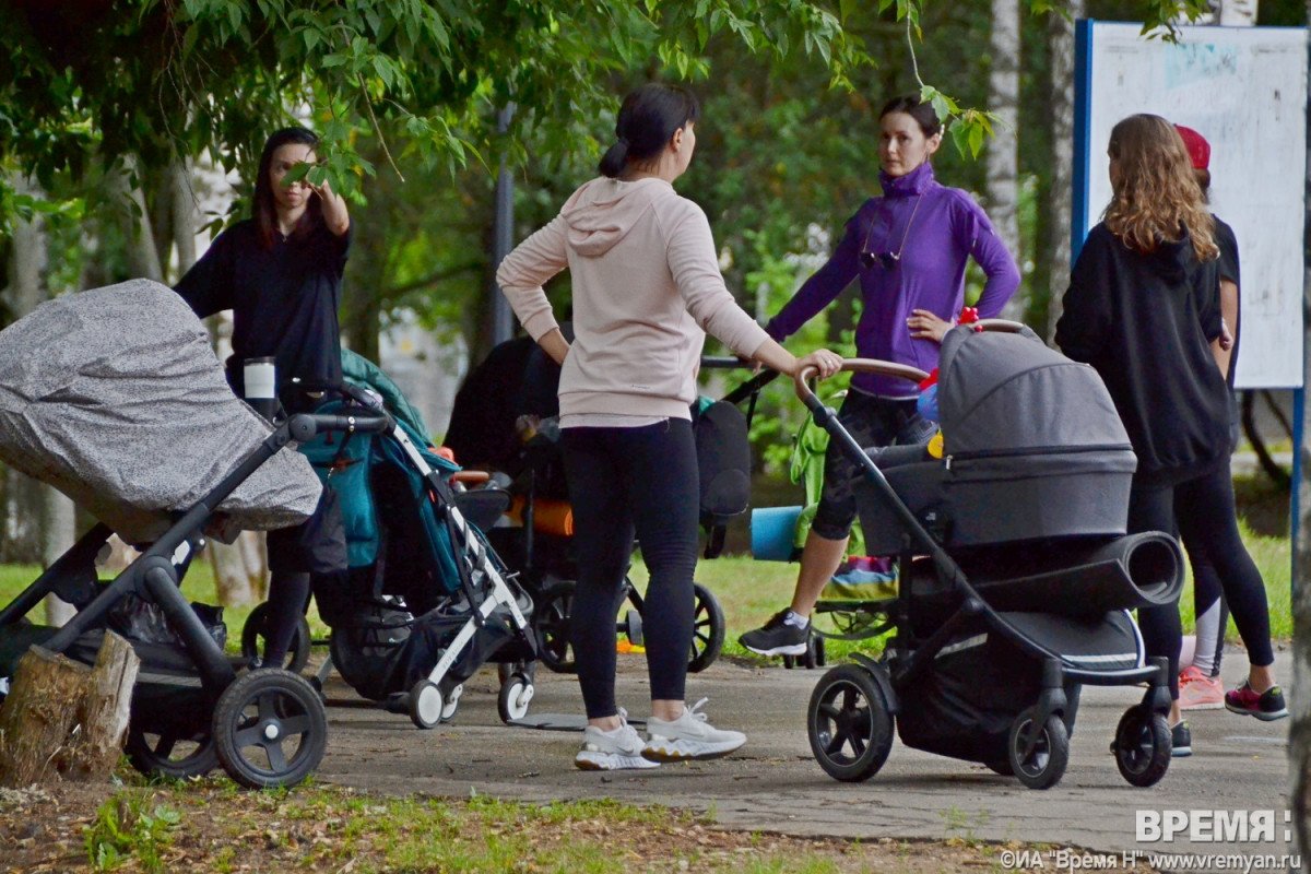Государственный сервис для проверки нянь создать можно и нужно, считает эксперт Геллер