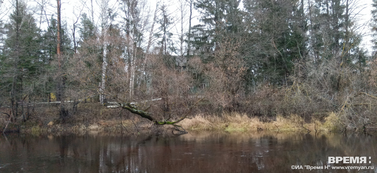 Жители двух нижегородских деревень страдают из-за загрязнения реки