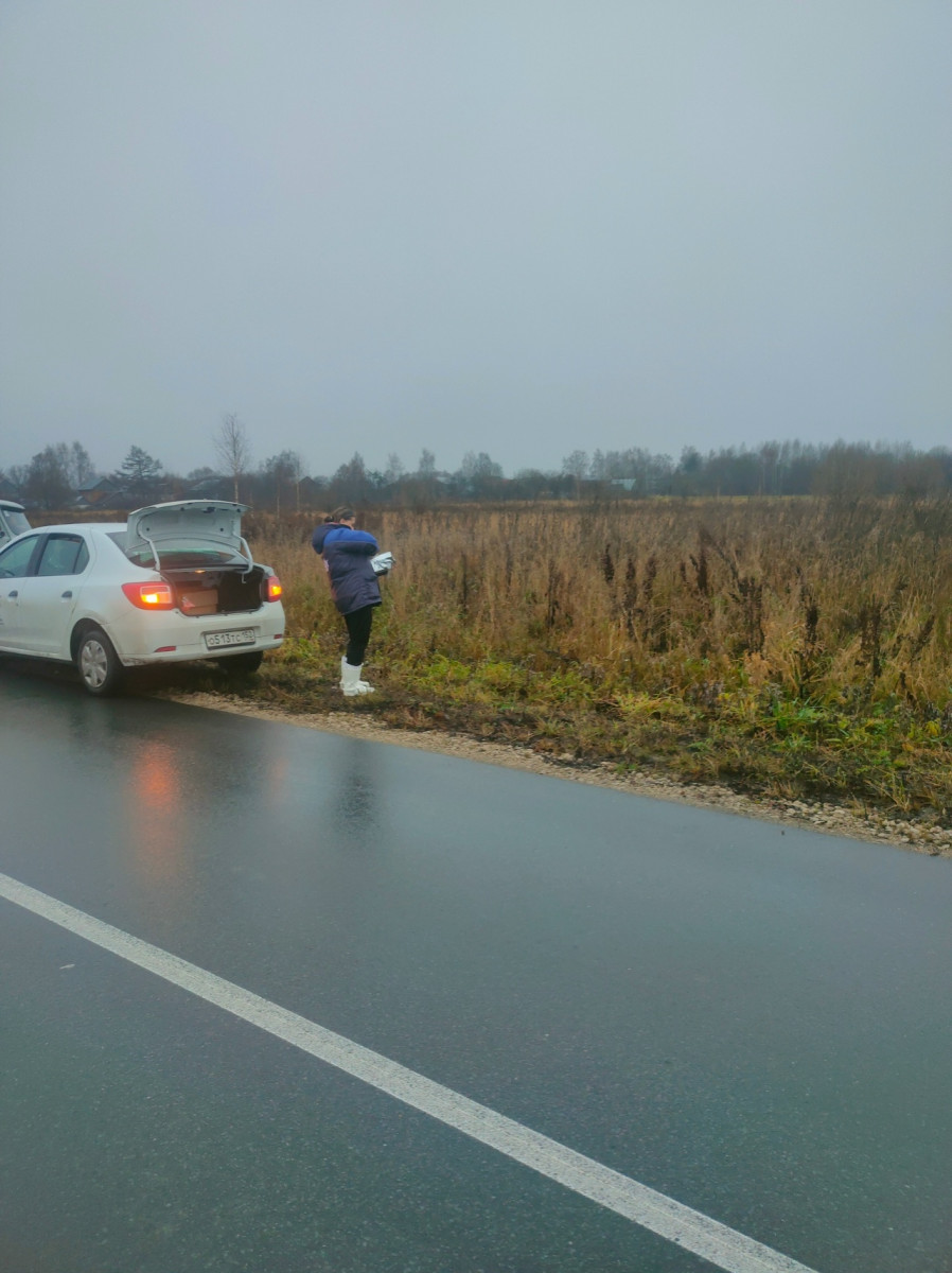 Вакцинация против бешенства диких животных проводится в Воротынском округе