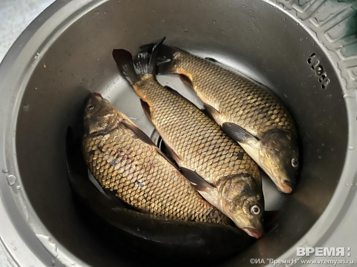 Нижегородцам стоит приобрести рыбу к Новому году заранее