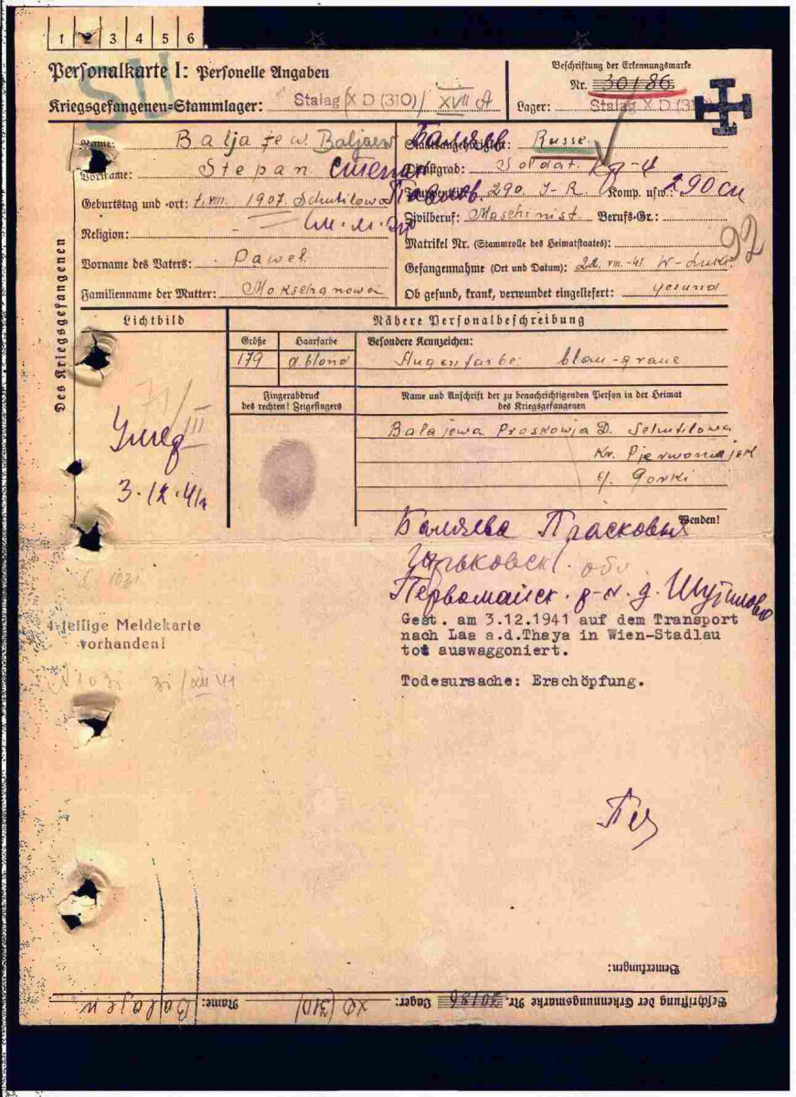 В Музее Победы восстановлена судьба пропавшего без вести нижегородского солдата