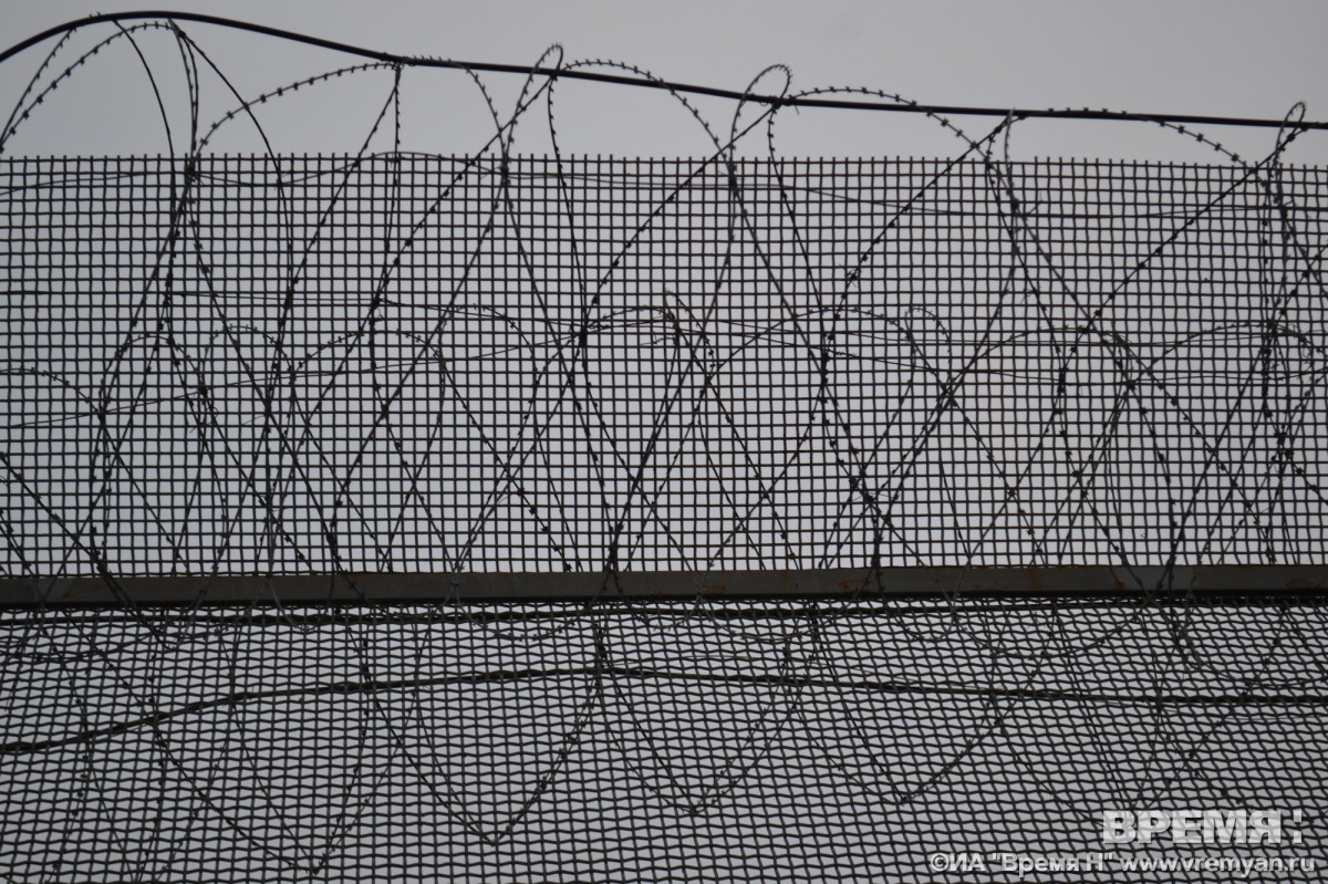 Житель Кулебак получил 9 лет строгого режима за стрельбу по детям