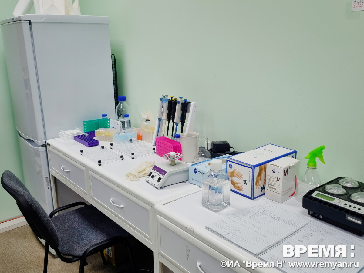 Работника ННГУ укусила лабораторная крыса