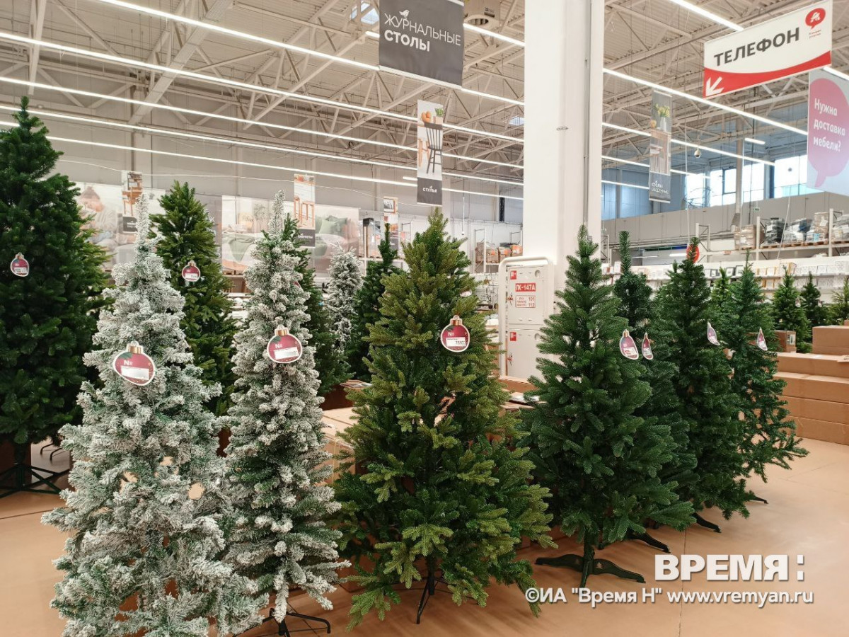 Эксперты дали советы нижегородцам по выбору новогодней елки