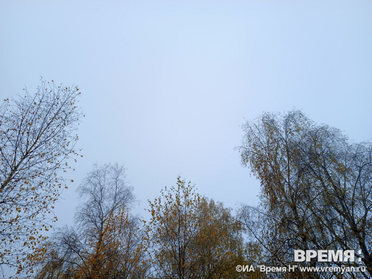 Нижегородский эксперимент по воздушным беспилотникам расширен еще на два региона