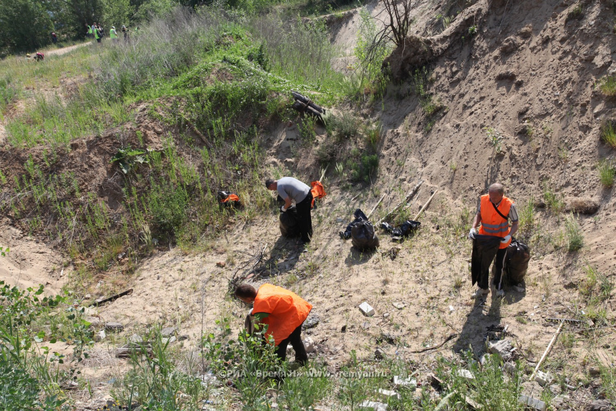 В Нижегородской области в этом году создано более 5 900 гектаров новых лесов