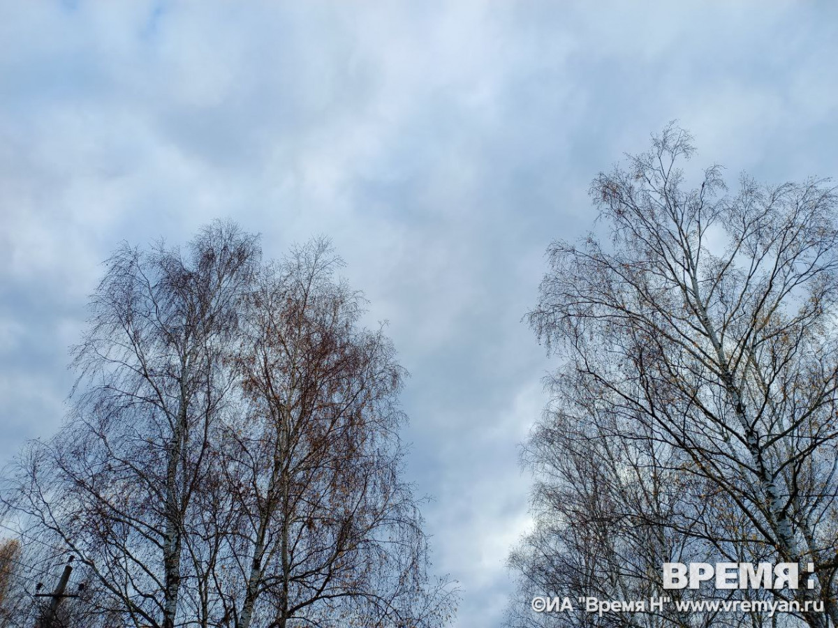 Один беспилотник сбит в Нижегородской области прошедшей ночью