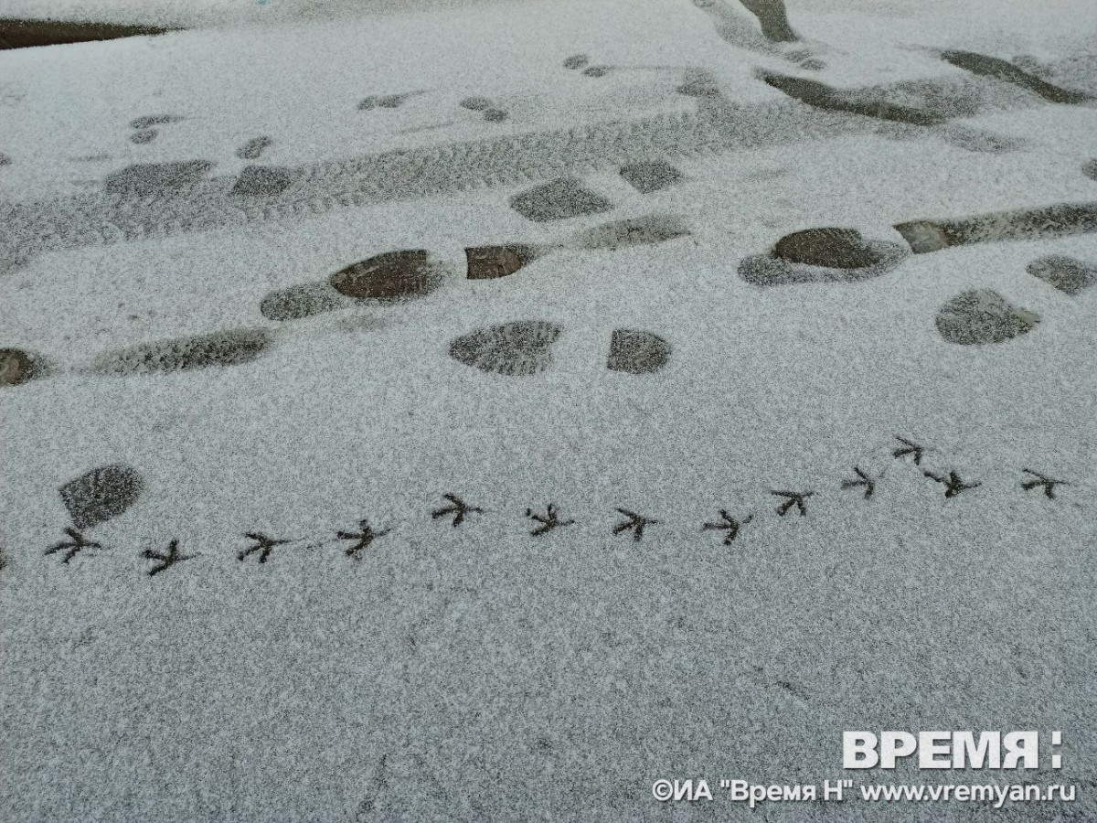 Дождь со снегом ожидаются в Нижнем Новгороде 7 декабря