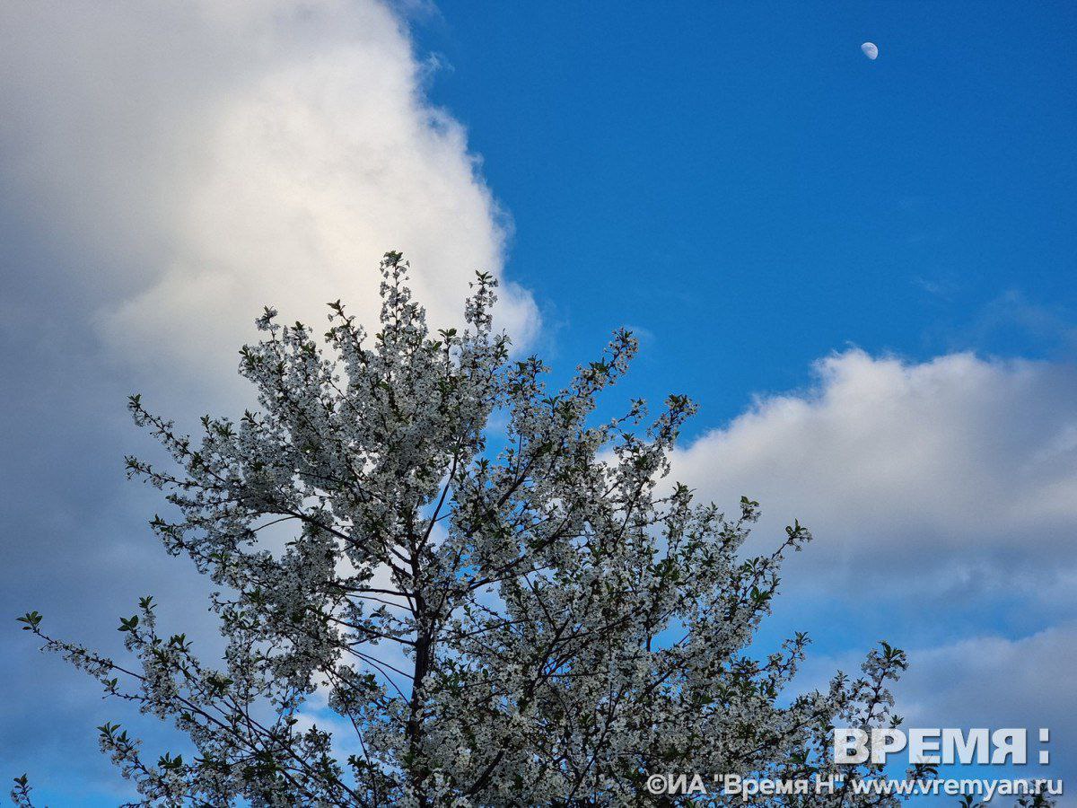 Четыре беспилотника уничтожены в небе Нижегородской области прошедшей ночью
