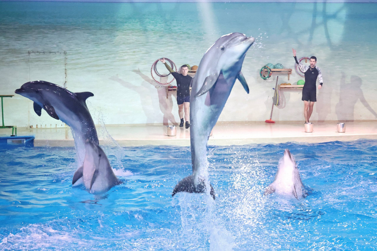 Евгений Люлин исполнил новогоднее желание мальчика из Дзержинска