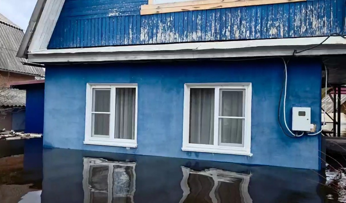 Синий домик