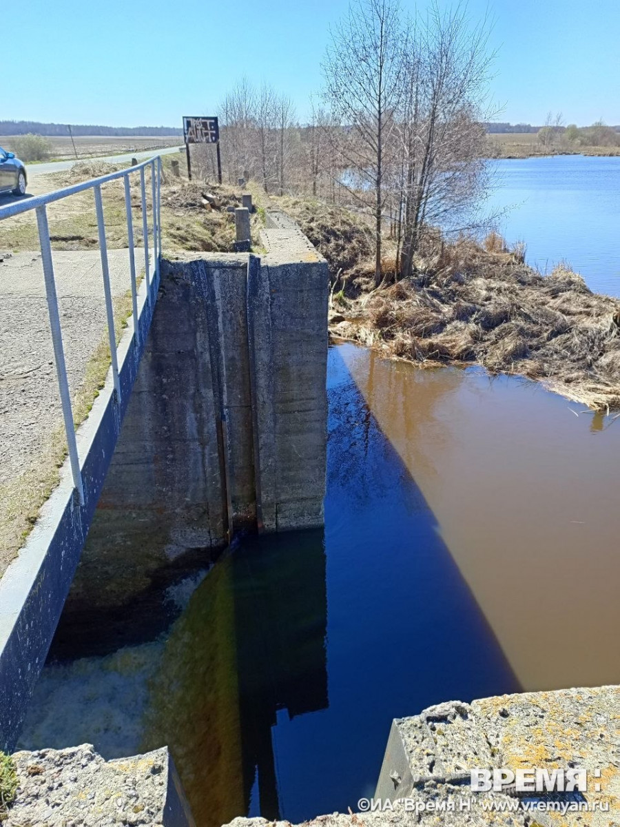 photo_5415963806644507072_y